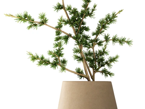 Minimalist Bouquet Branches Pine branch decor vase 3D Model