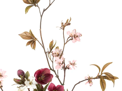 Bouquet red White Flowers Vase Cherry Sakura vase decor new 3D Model