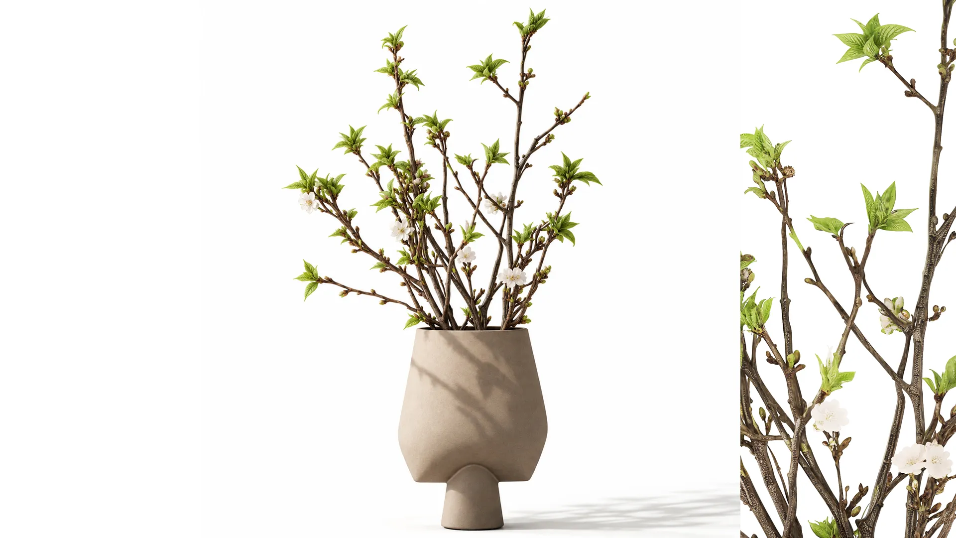 Bouquet White Flowers Vase Cherry Sakura Vase 3D Model .c4d .max .obj .3ds .fbx .stl .blend 
