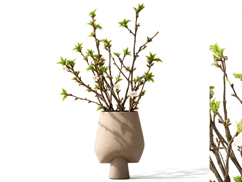 Bouquet White Flowers Vase Cherry Sakura Vase 3D Model
