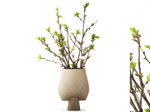 Bouquet White Flowers Vase Cherry Sakura Vase 3D Model