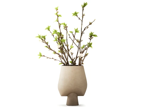 Bouquet White Flowers Vase Cherry Sakura Vase 3D Model