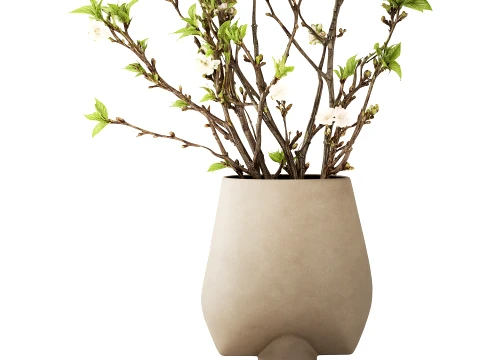 Bouquet White Flowers Vase Cherry Sakura Vase 3D Model