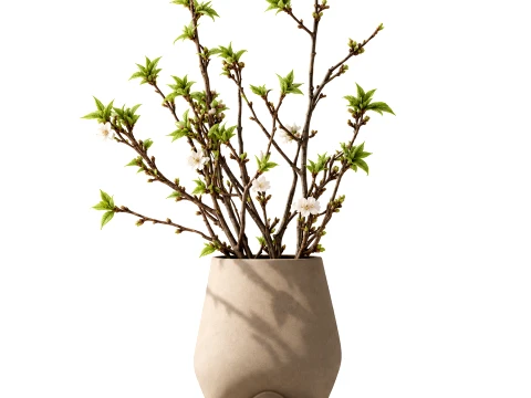 Bouquet White Flowers Vase Cherry Sakura Vase 3D Model