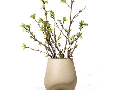 Bouquet White Flowers Vase Cherry Sakura Vase 3D Model
