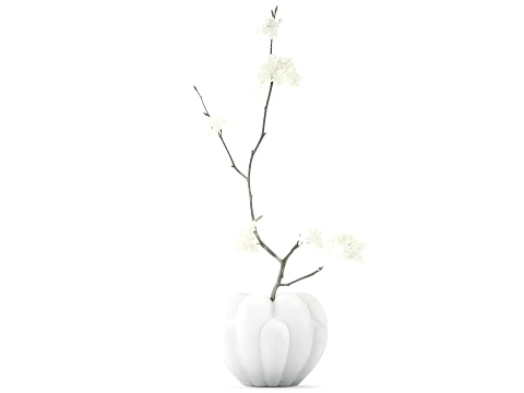 Bouquet branches White Flowers Vase Cherry Sakura 3D Model