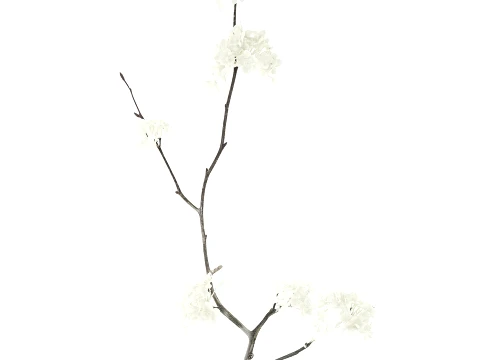Bouquet branches White Flowers Vase Cherry Sakura 3D Model
