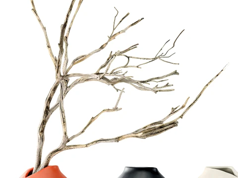 Minimalist Autumn Bouquet Dried Branches Vase New decor set 3D Model