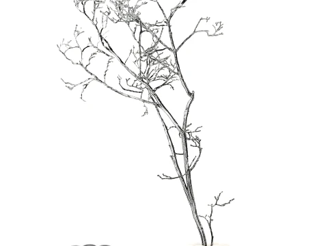 Minimalist Autumn Bouquet Dried Branches Vase New 3D Model