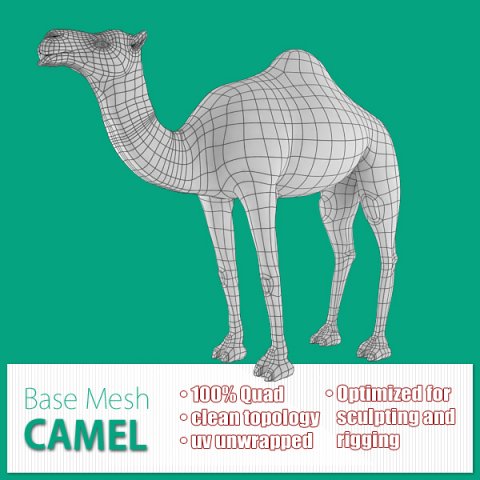 camel base mesh 3D Model .c4d .max .obj .3ds .fbx .stl .blend 