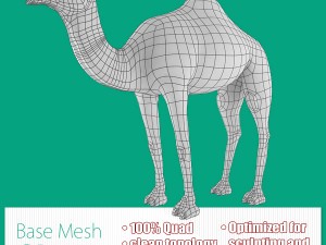 camel base mesh 3D Model
