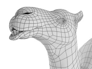 camel base mesh 3D Model