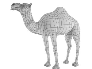camel base mesh 3D Model