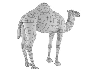 camel base mesh 3D Model