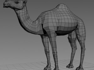 camel base mesh 3D Model