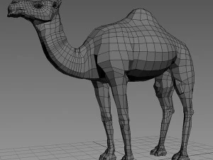 camel base mesh 3D Model