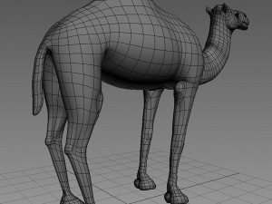 camel base mesh 3D Model