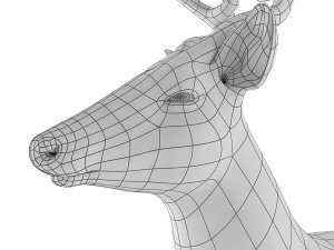 deer base mesh 3D Model