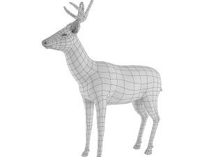 deer base mesh 3D Model