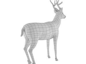 deer base mesh 3D Model