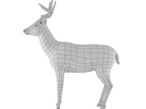 deer base mesh 3D Model