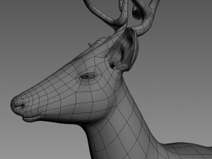 deer base mesh 3D Model