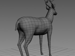 deer base mesh 3D Model