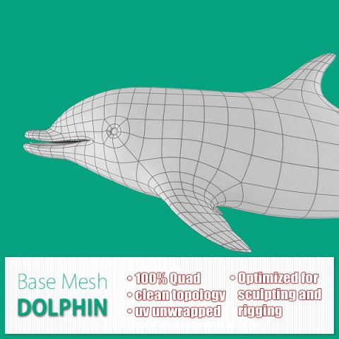 dolphin base mesh Modelo 3D .c4d .max .obj .3ds .fbx .stl .blend 