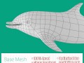 Dolphin Base Mesh 3D Model