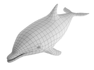 dolphin base mesh Modelo 3D