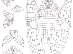 dolphin base mesh Modelo 3D