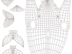 dolphin base mesh 3D Model