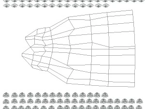 dolphin base mesh 3D Model