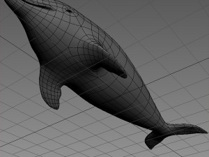 dolphin base mesh Modelo 3D