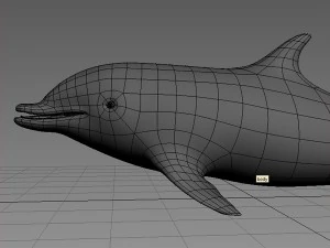 dolphin base mesh 3D Model