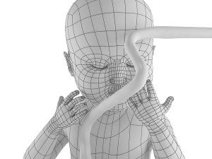 human fetus 3D Model