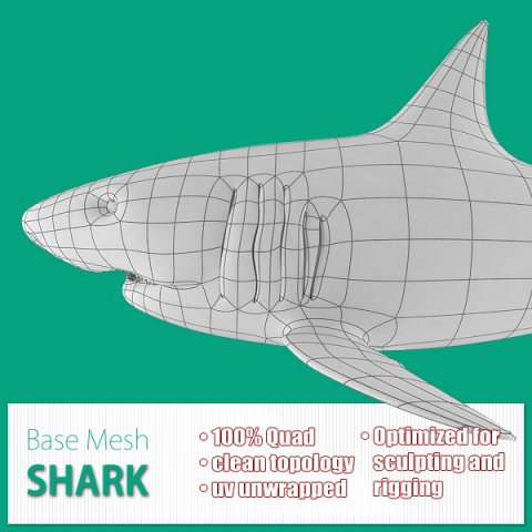 shark base mesh 3D Модель .c4d .max .obj .3ds .fbx .stl .blend 