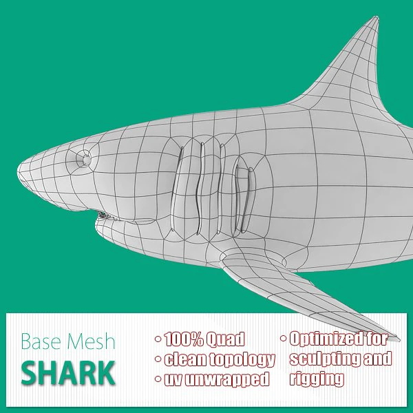 shark base mesh 3D Model .c4d .max .obj .3ds .fbx .stl .blend 