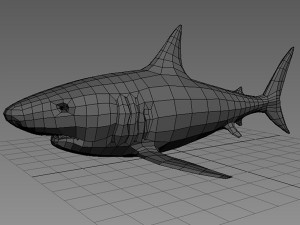 shark base mesh 3D Модель
