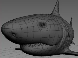 shark base mesh 3D Model