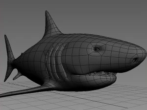 shark base mesh 3D Model