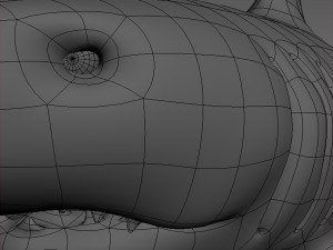shark base mesh 3D Модель