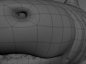 shark base mesh 3D Model