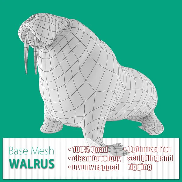 walrus base mesh 3D Model .c4d .max .obj .3ds .fbx .stl .blend 