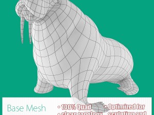 walrus base mesh 3D Model