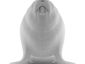 walrus base mesh Modelo 3D