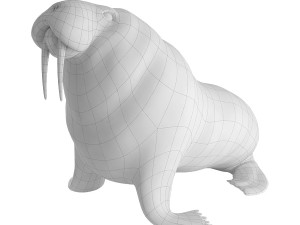 walrus base mesh Modelo 3D