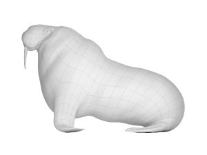 walrus base mesh Modelo 3D
