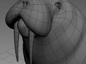 walrus base mesh Modelo 3D