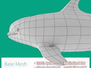 whale base mesh 3D Модель